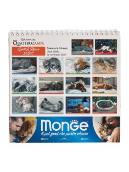Calendario Gatti & Relax 14 Mesi -  2026 — Calendario - 5