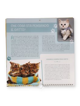 Calendario Gattini 2026 — Calendario - 4