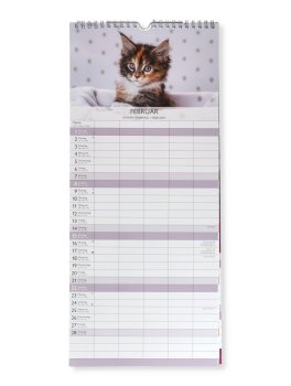 Calendario Gattini 2026 - Family Planner — Calendario - 2