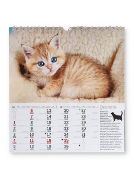 Calendario Magnum Gatti 2026 — Calendario - 2