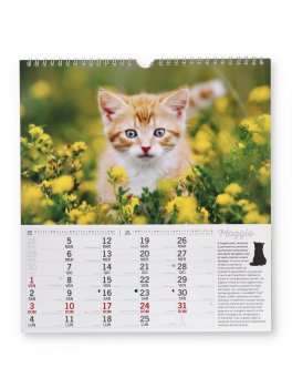 Calendario Magnum Gatti 2026 — Calendario - 3