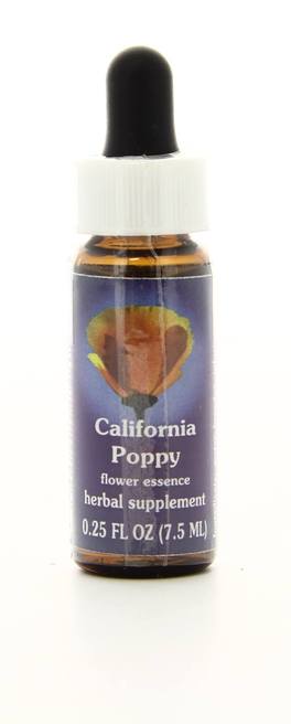 California Poppy - Fiori californiani - 1