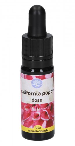 California Poppy -  Fiori Californiani - Dose - 1