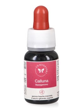 Calluna - Basegemmo - 2