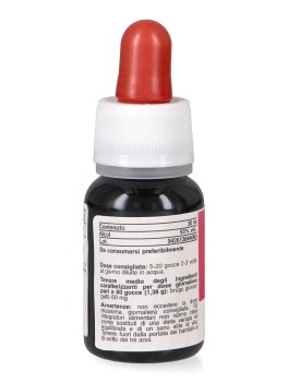 Calluna - Basegemmo - 4