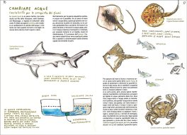 Cambiare - Trasformismi, Metamorfosi, Migrazioni nel Regno Animale — Libro - 3