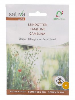 Semi di Camelina - Semi Oleosi - 1