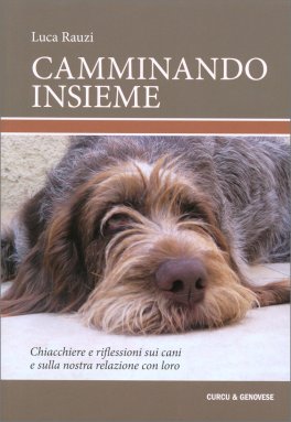 Camminando Insieme — Libro - 1