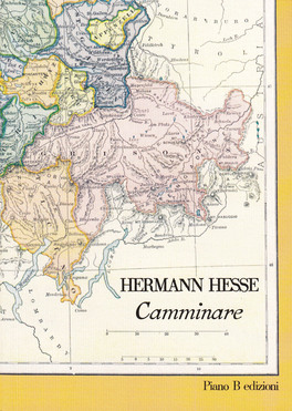Camminare — Libro - 1