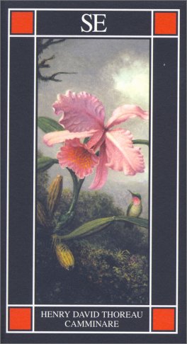 Camminare — Libro - 1