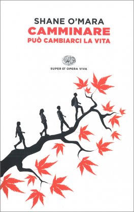 Camminare può Cambiarci la Vita — Libro - 1