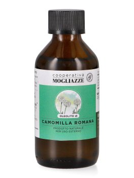 Camomilla Romana - Oleolito - 1