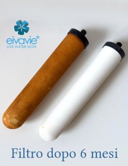 Candela Filtrante Eivavie® Ceramicae 1/4” bsp per Depuratore Sopralavello Doulton® - 6
