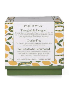 Candela in Ceramica "A Dopo" Snake - Wild Lemongrass - 7