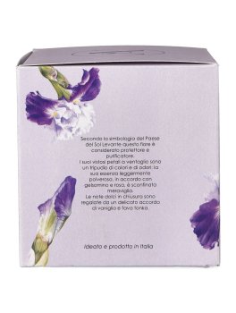 Candela Iris - 4