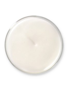 Candela Pepe Rosa - 5
