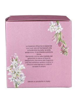 Candela Tuberosa - 3