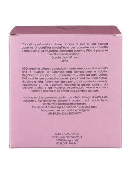 Candela Tuberosa - 4