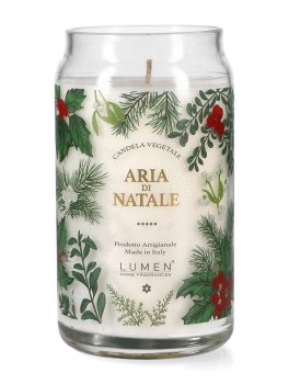 Candela Vegetale con Giara in Vetro "Aria di Natale" - 1