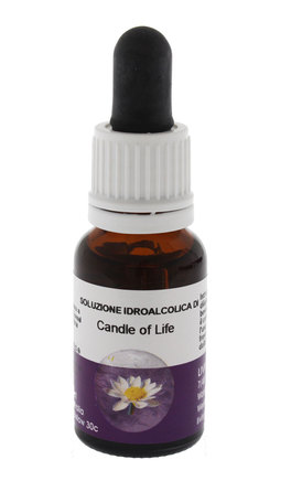 Candle of Life - Fiori australiani - 1