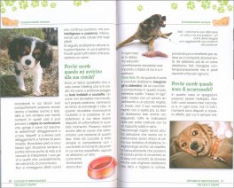 Cane e Umano - Tecniche di Comunicazione — Libro - 3