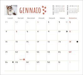 Cani Calendario 2026 Pocket — Calendario - 2