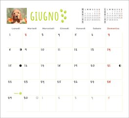 Cani Calendario 2026 Pocket — Calendario - 3