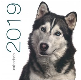 Cani - Calendario da Muro 2019