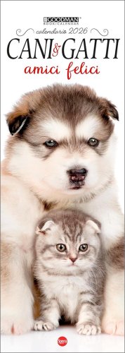 Cani e Gatti Amici Felici Calendario 2026 — Calendario - 1