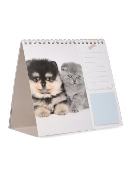 Cani e Gatti Calendario 2026 Pocket — Calendario - 4
