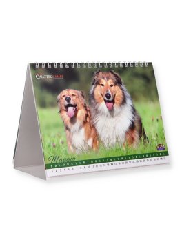 Calendario da Tavolo Cani Felici 2027 — Calendario - 4
