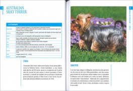 Cani Toy — Libro - 3