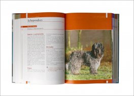 Cani - Tutte Le Razze — Libro - 3