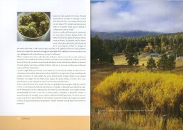 Cannabis — Libro - 3