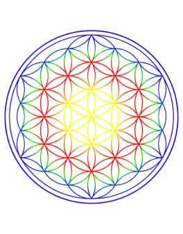 Caraffa Alladin - Fiore della Vita - 3