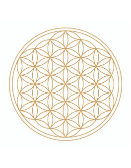 Caraffa Golden Alladin - Fiore della Vita Oro - 7