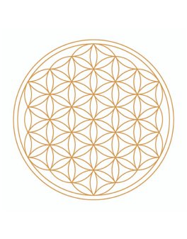 Caraffa Golden Alladin - Fiore della Vita Oro - 9