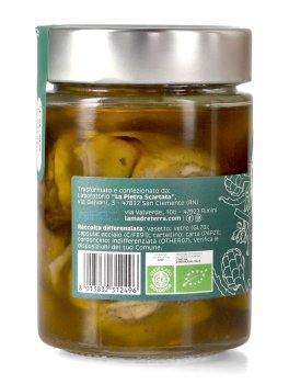 Carciofini Bio - 3