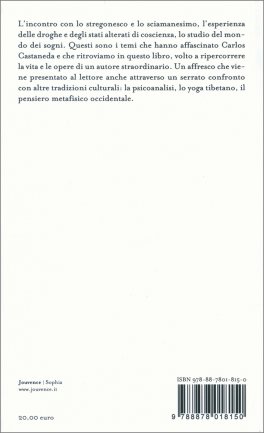 Carlos Castaneda e i Navigatori dell'Infinito — Libro - 2