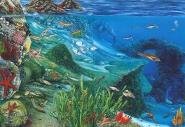 Caro Mare — Libro - 3
