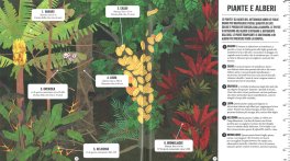 Caro Pianeta - La Foresta Amazzonica — Libro - 3