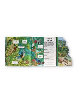 Caro Pianeta - La Foresta Amazzonica — Libro - 3