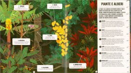 Caro Pianeta - La Foresta Amazzonica — Libro - 3