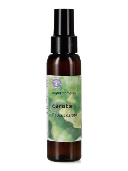 Carota - Acqua Aromatica - 1
