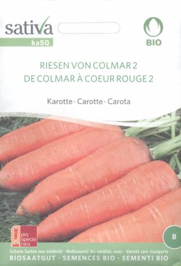 Semi di Carota de Colmar a Coeur Rouge 2 - 1