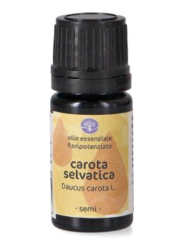 Carota Selvatica - Olio Essenziale Floripotenziato - 1