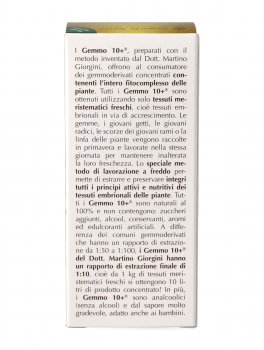 Carpinus Betulus Gemmoderivato Concentrato - Gemmo 10+ ® - 4