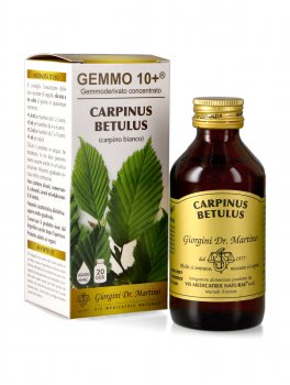 Carpinus Betulus Gemmoderivato Concentrato - Gemmo 10+ ® - 1