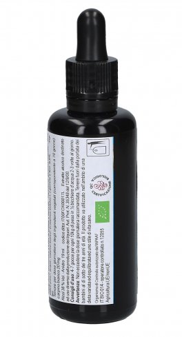 Carpinus Betulus - Gemmoderivato Floripotenziato - Gemme - 3