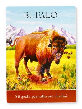 Carte degli Spiriti Animali - 5
